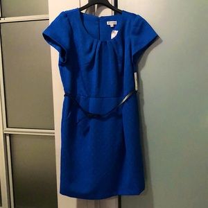 Shelby Palmer Blue Dress